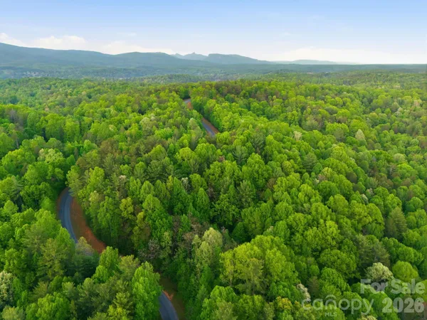 a view of a lush green forest