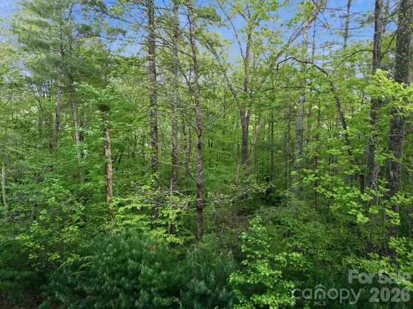 a view of a lake in a field