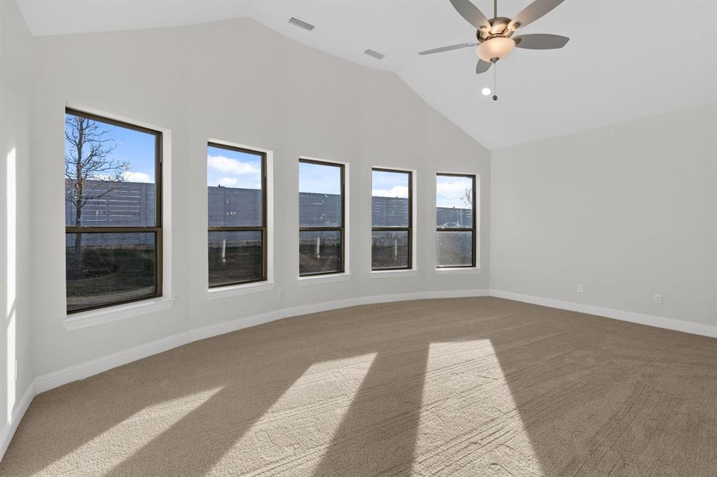 3905 Menard Street McKinney, TX 75071 - Photo 16 of 38 DAL_Painted Tree_Easton_3905 Menard Street (15)