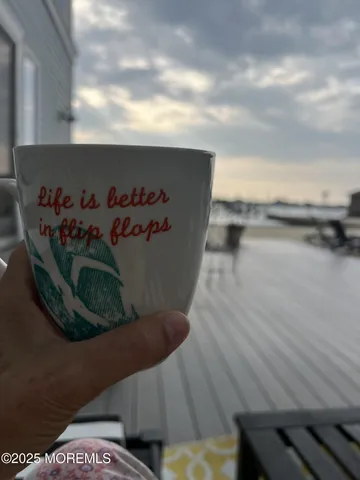 a front view of a house with yard