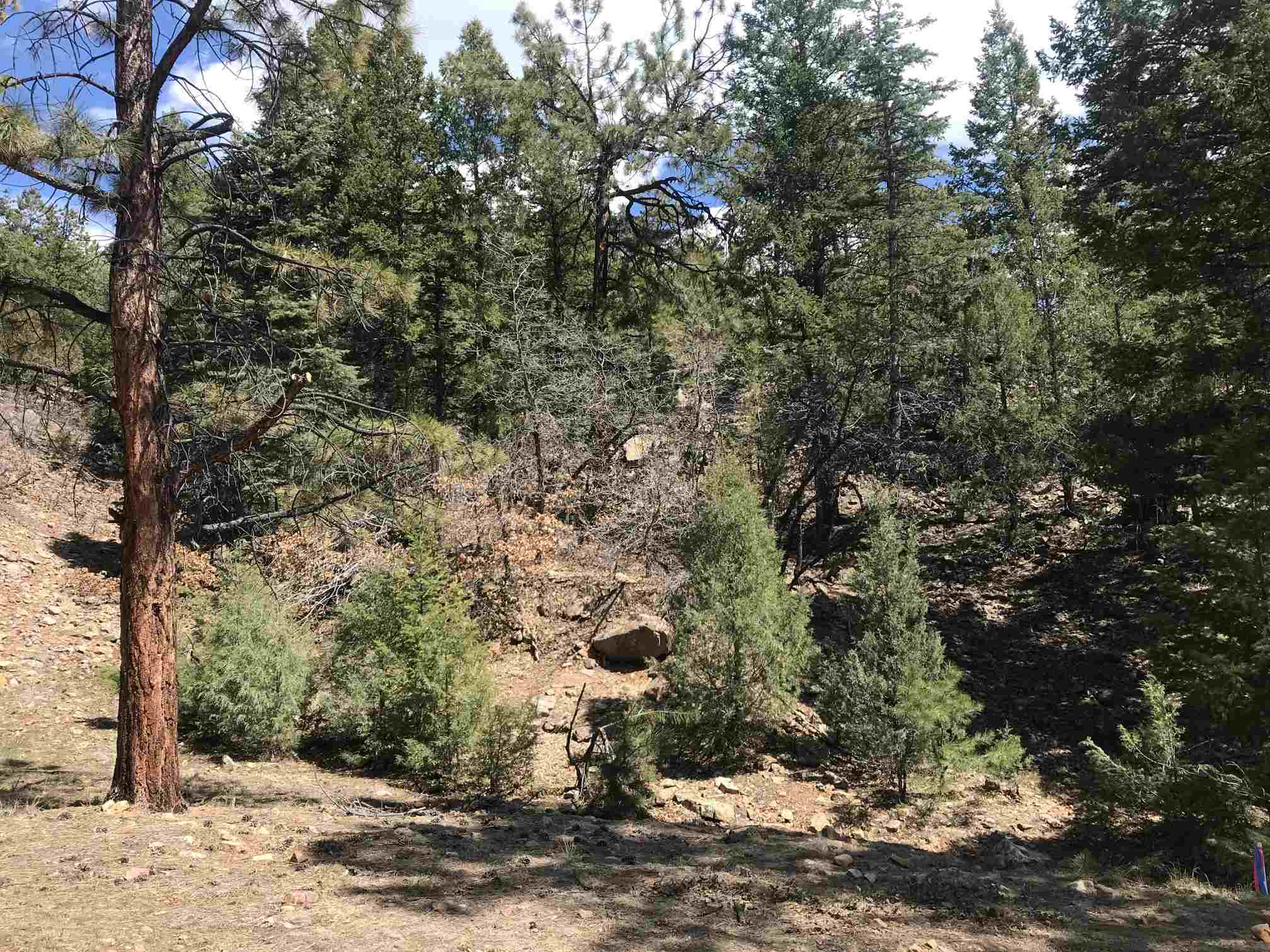68 Lobo Chama, NM 87520 - Photo 1 of 1