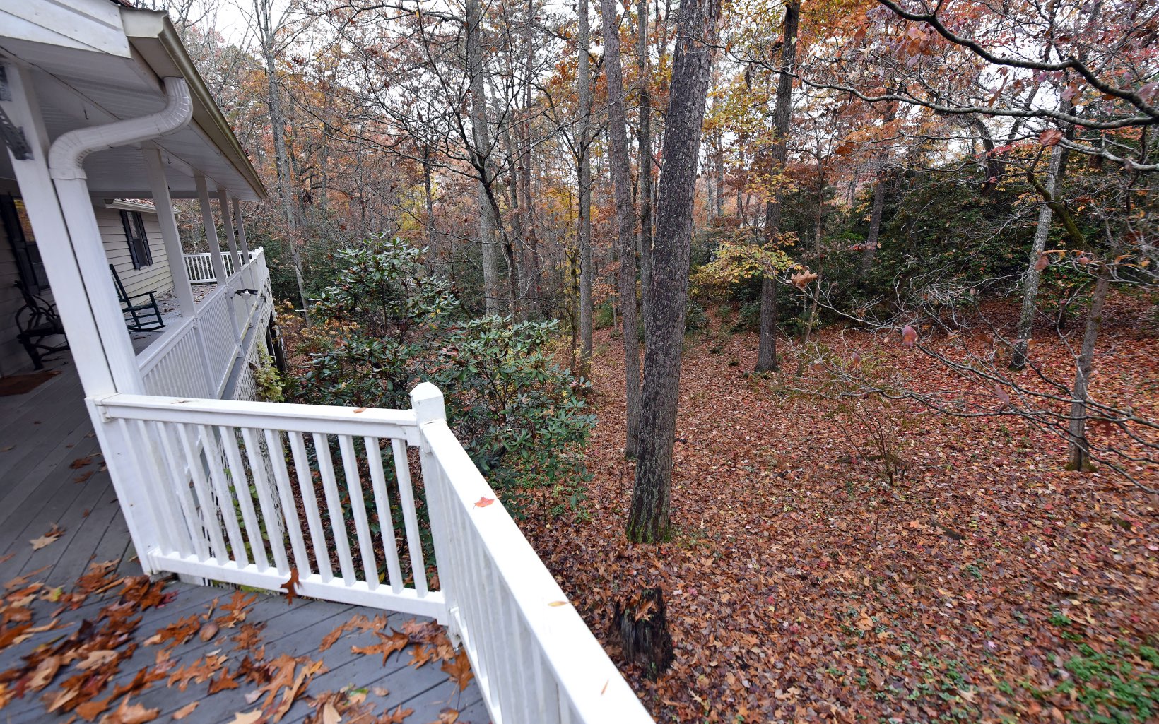 131 Rothgeb Ridge Road Blairsville, GA 30512 - Photo 15 of 51 Additional View
