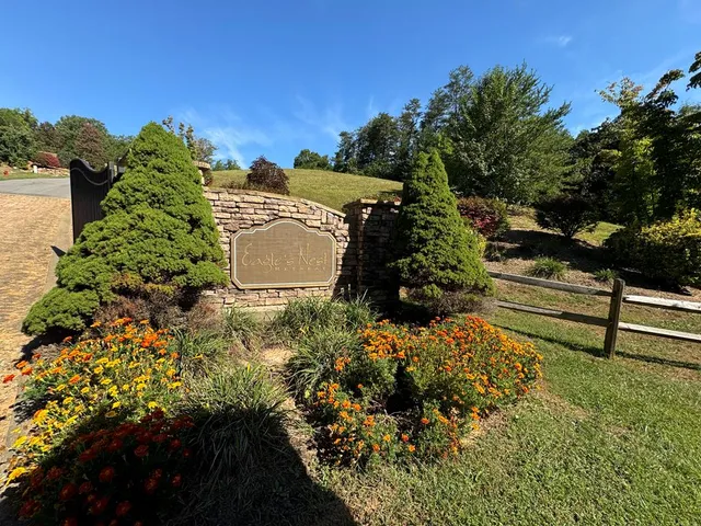a view of a garden with an outdoor space