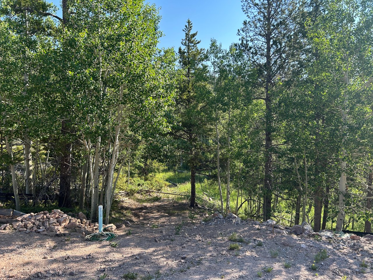 506 Elkridge Road Red Feather Lakes, CO 80545 - Photo 3 of 25