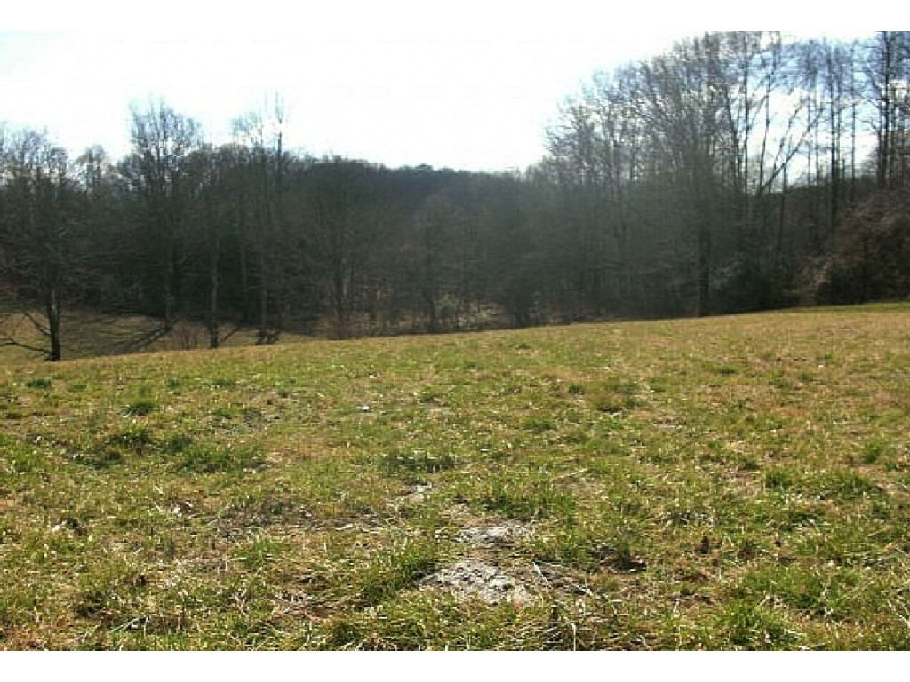 Tbd Robin Road Bristol, TN 37620 - Photo 1 of 6 Photo 1