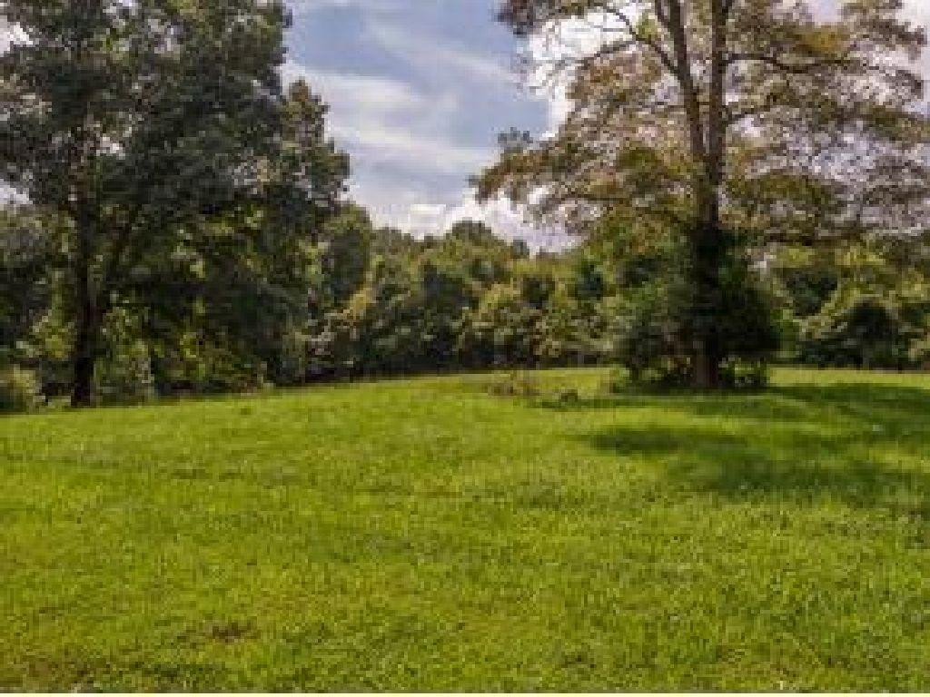 Tbd Robin Road Bristol, TN 37620 - Photo 2 of 6 Photo 2