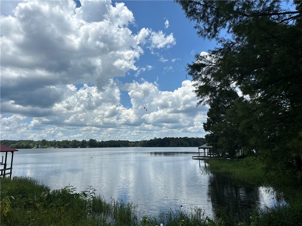 1009 Balboa Point Boyce, LA 71409 - Photo 15 of 36
