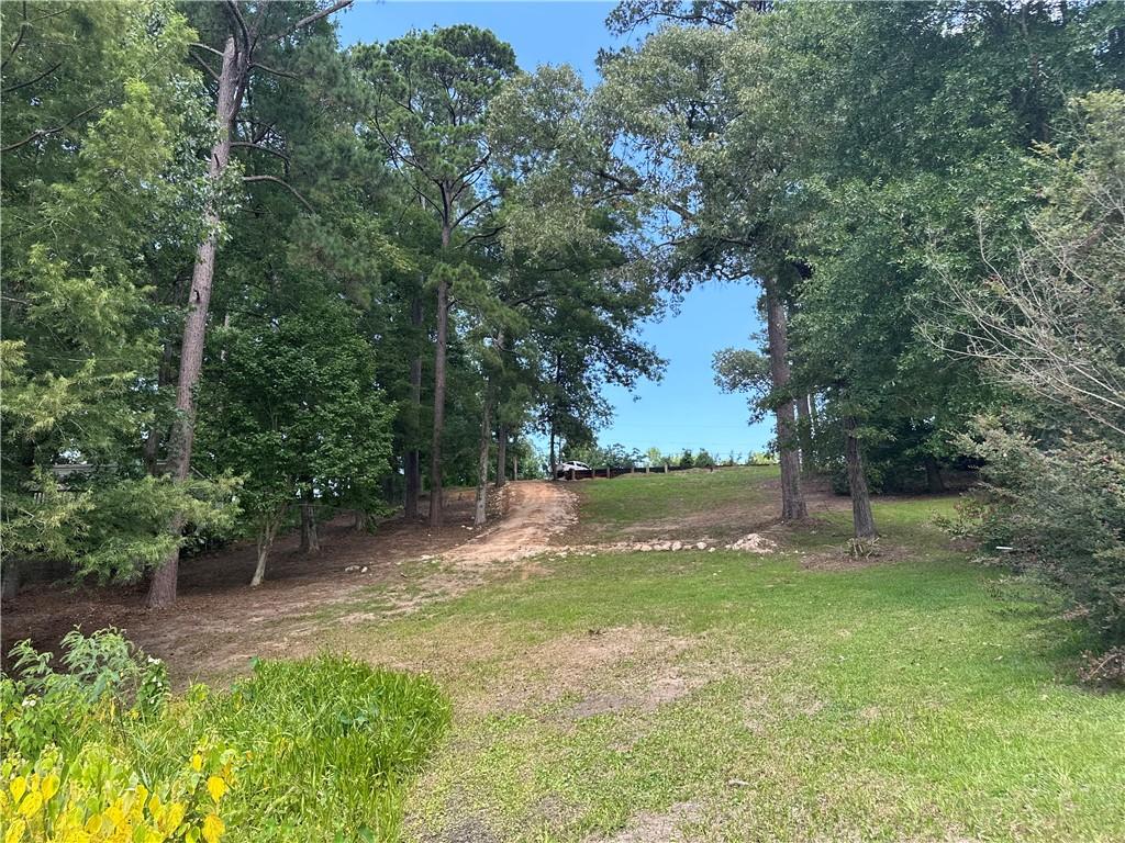 1009 Balboa Point Boyce, LA 71409 - Photo 17 of 36