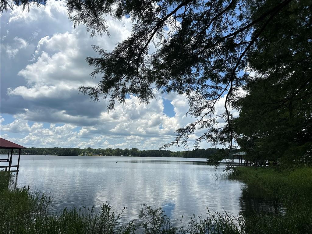 1009 Balboa Point Boyce, LA 71409 - Photo 3 of 36