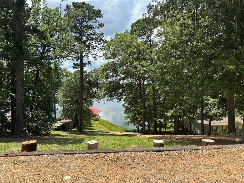 1009 Balboa Point Boyce, LA 71409 - Photo 33 of 36