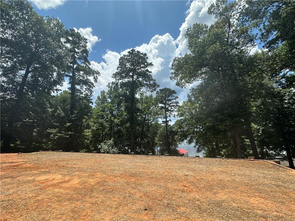 1009 Balboa Point Boyce, LA 71409 - Photo 35 of 36