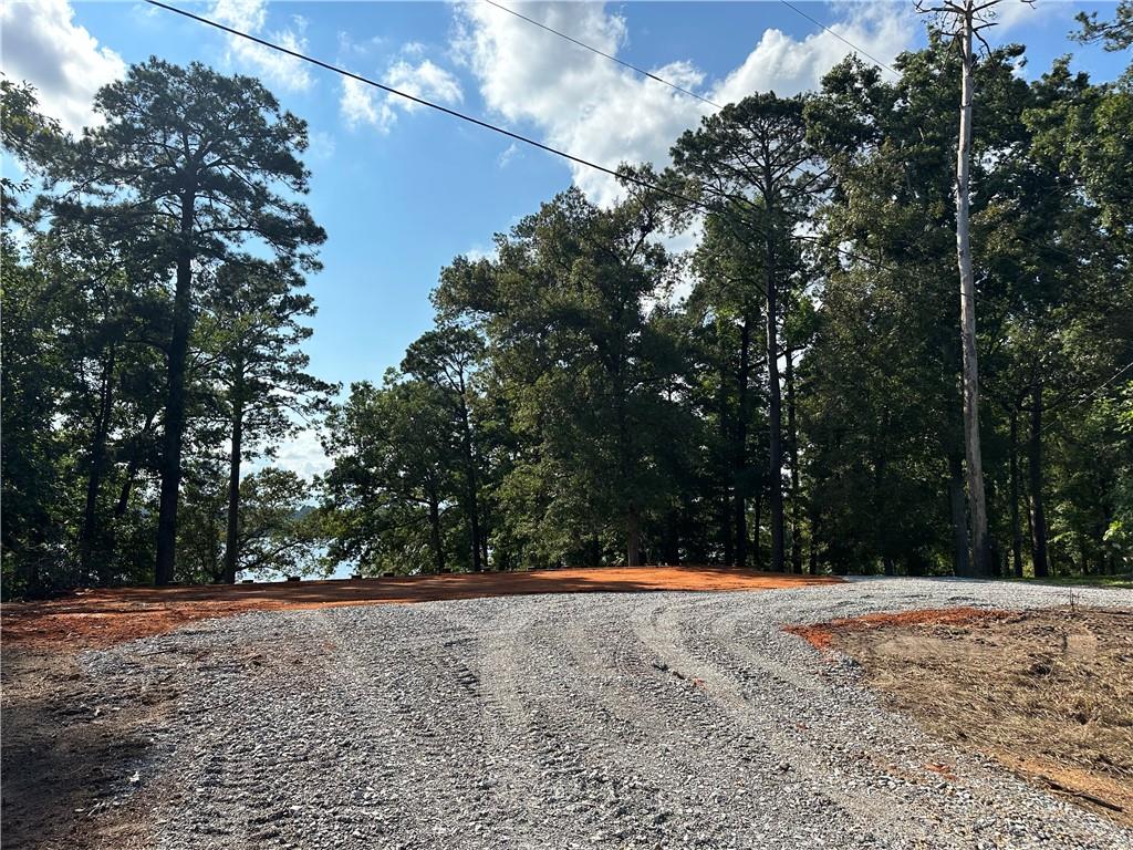 1009 Balboa Point Boyce, LA 71409 - Photo 4 of 36