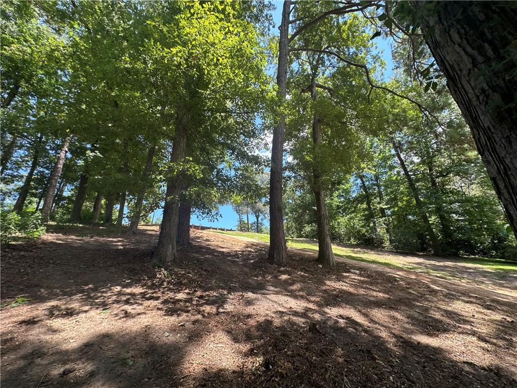 1009 Balboa Point Boyce, LA 71409 - Photo 9 of 36