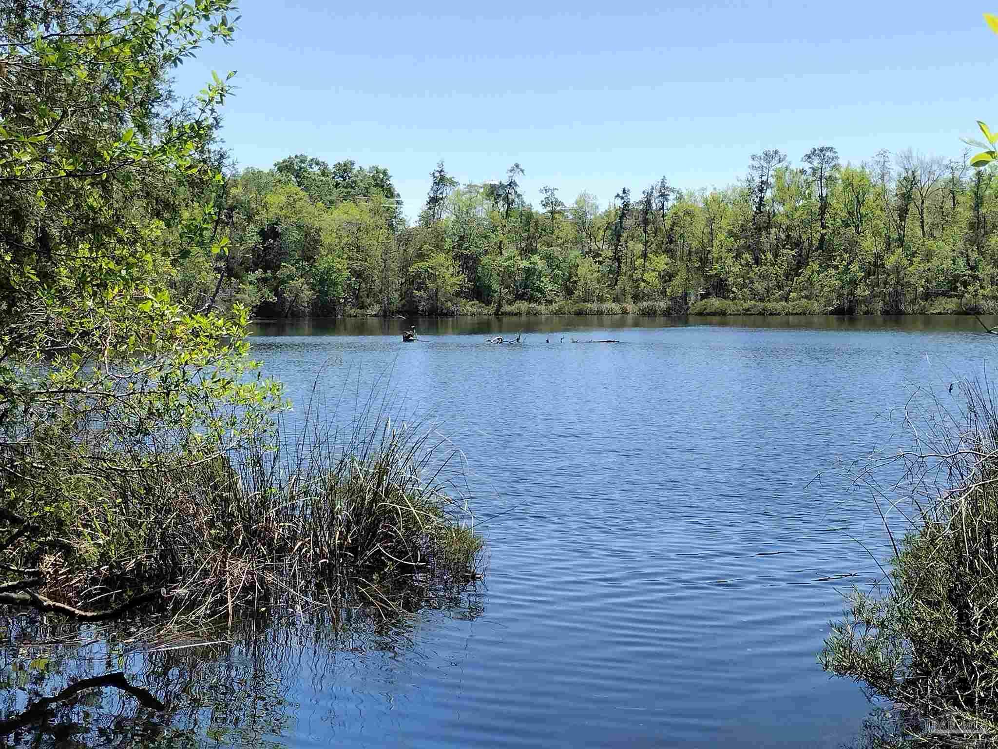 4611 Gunter Road Milton, FL 32570 - Photo 2 of 27