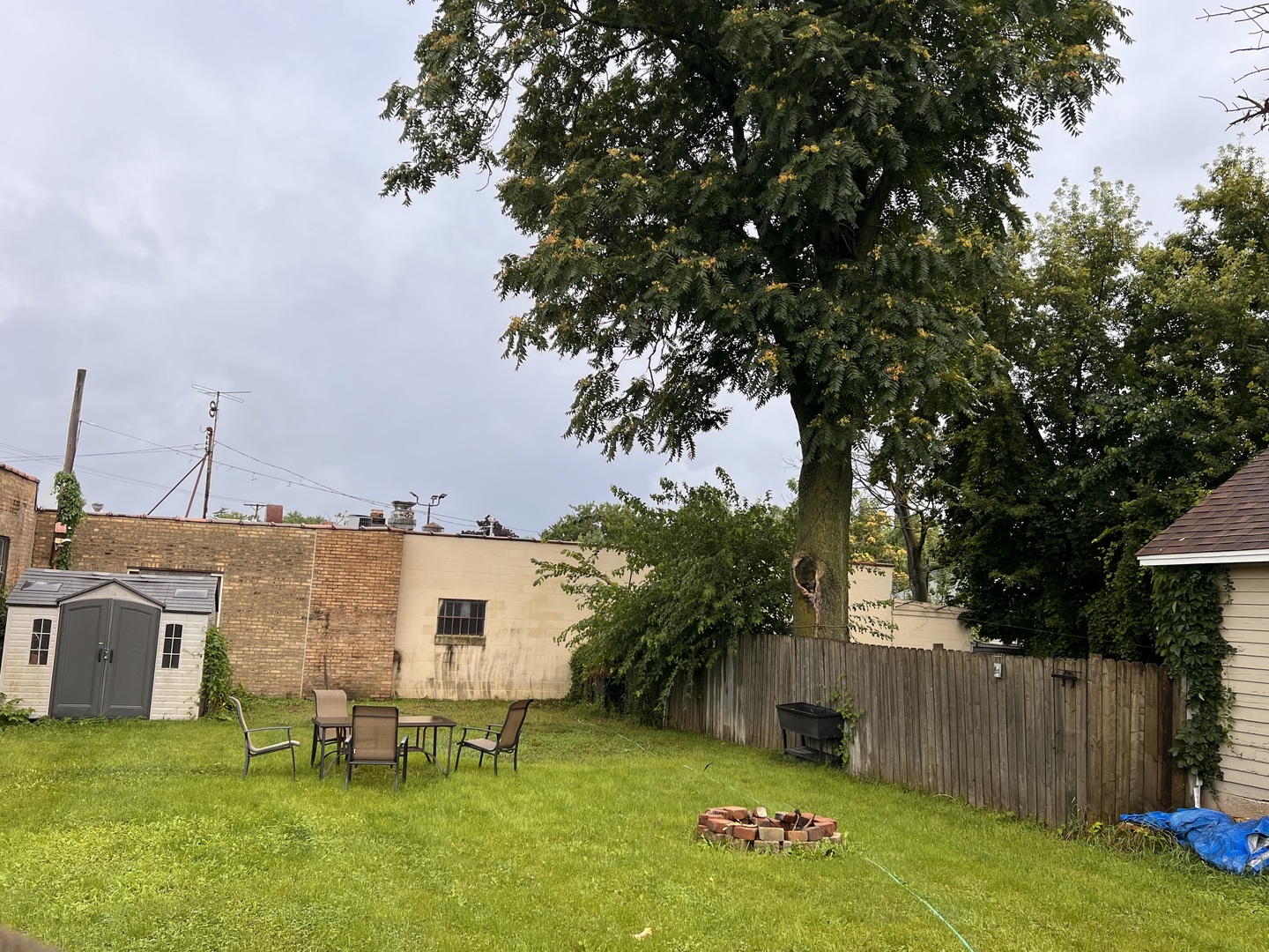 549 Congdon Avenue Elgin, IL 60120 - Photo 3 of 15 a view of a house with backyard and a tree