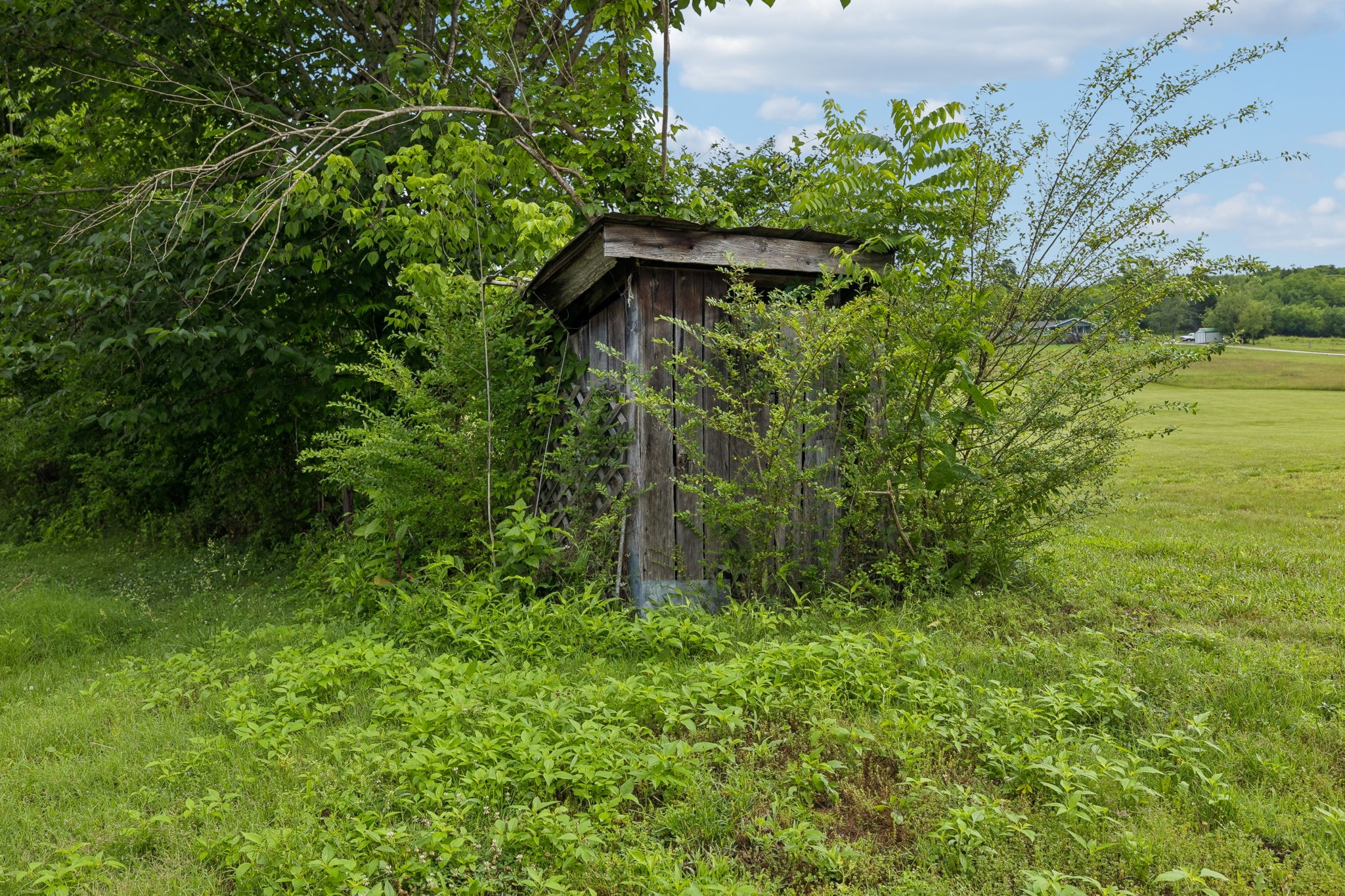 15 Sloan Branch Road Pleasant Shade, TN 37145 - Photo 43 of 46