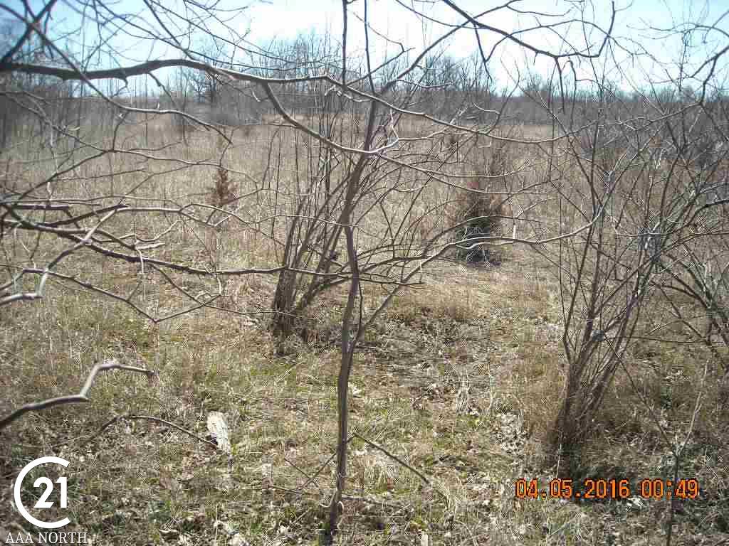 0 Leonard Road Leonard, MI 48367 - Photo 3 of 10