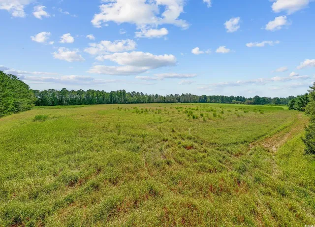 $59,850 | Lot 2 Womack Road, Nichols, SC 29581