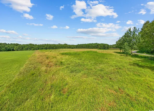 $59,850 | Lot 2 Womack Road, Nichols, SC 29581