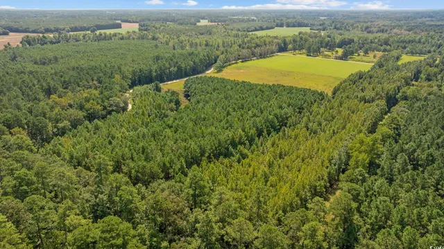 $59,850 | Lot 2 Womack Road, Nichols, SC 29581