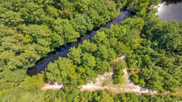 $59,850 | Lot 2 Womack Road, Nichols, SC 29581