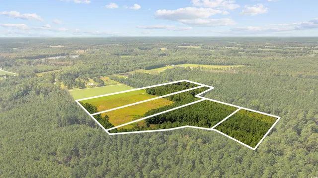 $59,850 | Lot 2 Womack Road, Nichols, SC 29581