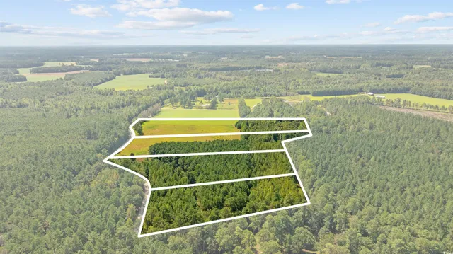 $59,850 | Lot 2 Womack Road, Nichols, SC 29581