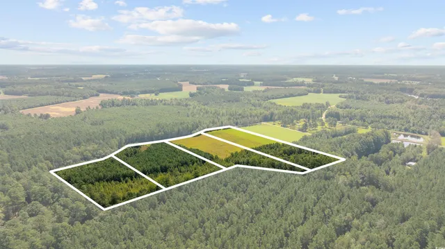 $59,850 | Lot 2 Womack Road, Nichols, SC 29581