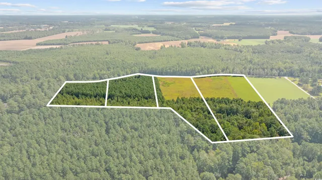 $59,850 | Lot 2 Womack Road, Nichols, SC 29581