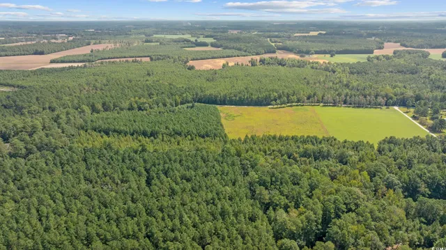 $59,850 | Lot 2 Womack Road, Nichols, SC 29581