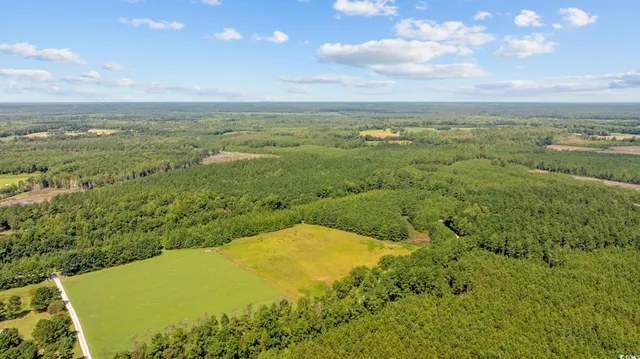 $59,850 | Lot 2 Womack Road, Nichols, SC 29581