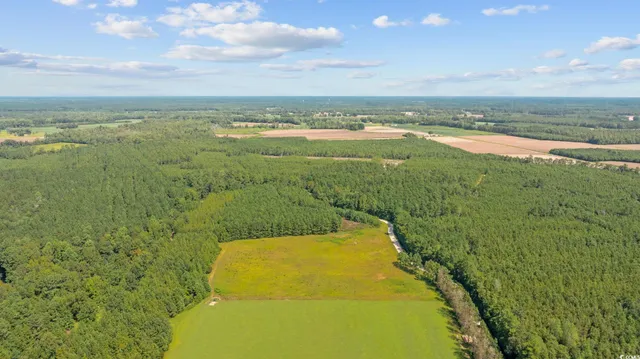 $59,850 | Lot 2 Womack Road, Nichols, SC 29581