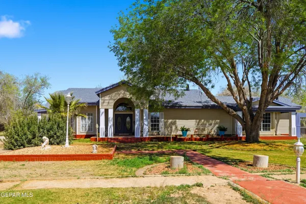 a view of a house with swimming pool and a large tree
