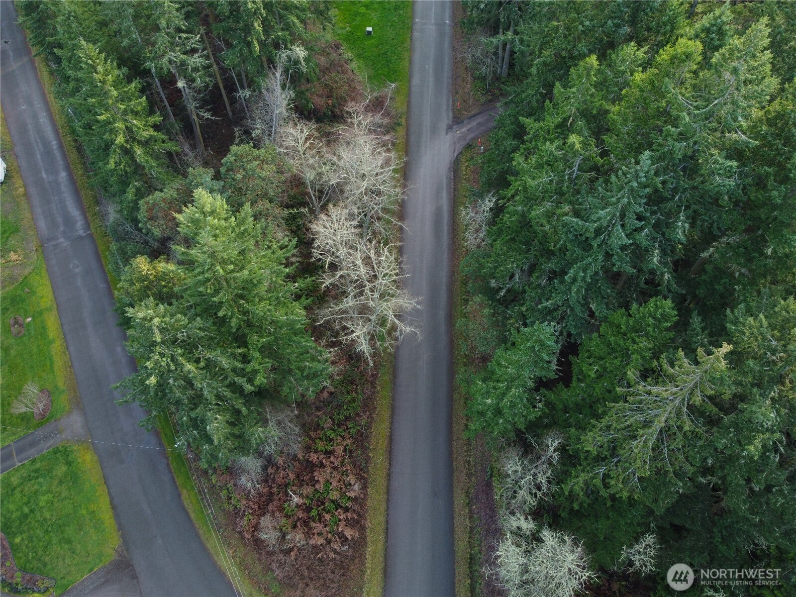 0 Lylus Lane Port Hadlock, WA 98339 - Photo 2 of 13 a view of a garden with plants