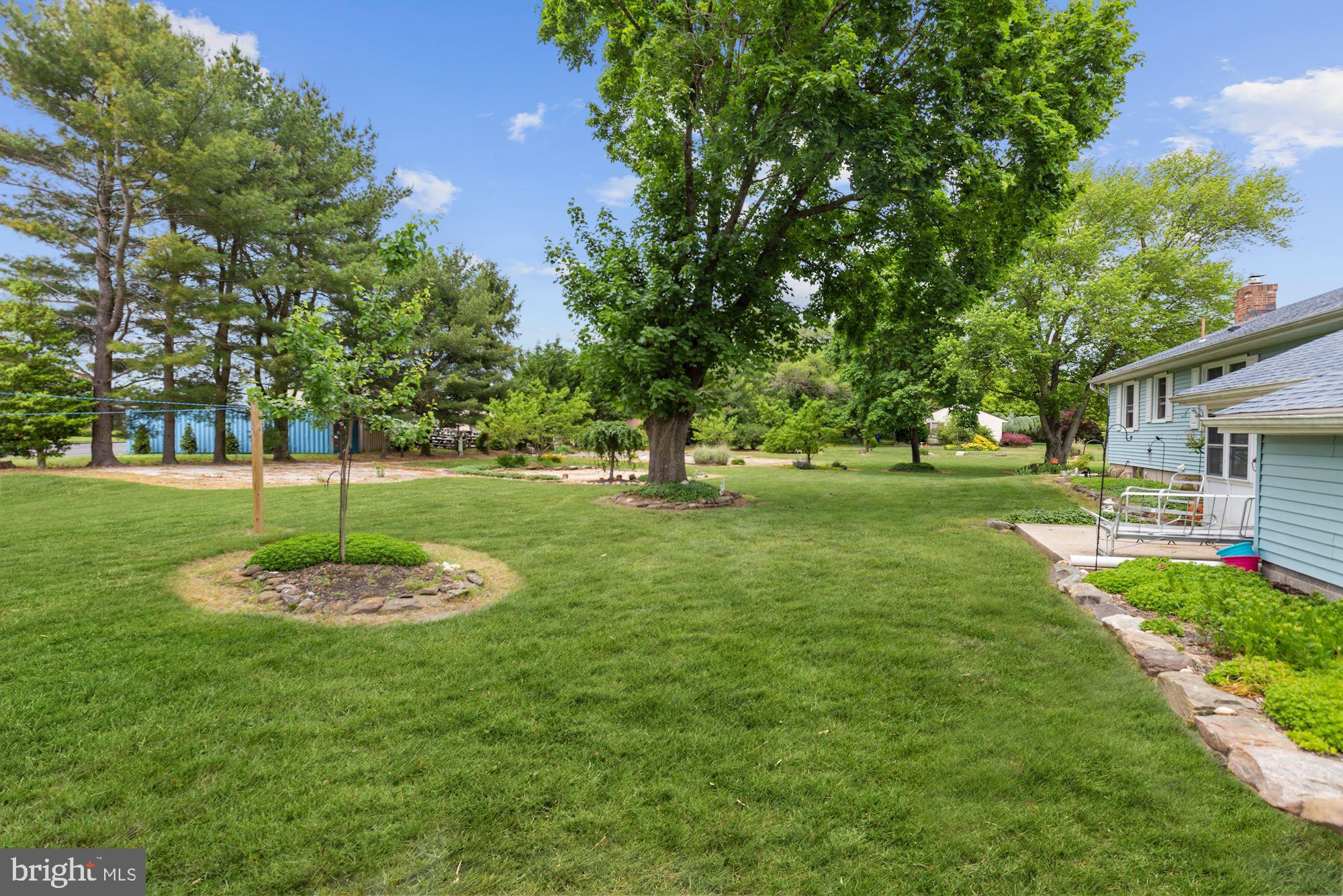 161 Carranza Road Tabernacle, NJ 08088 - Photo 4 of 22 a garden with trees in the background