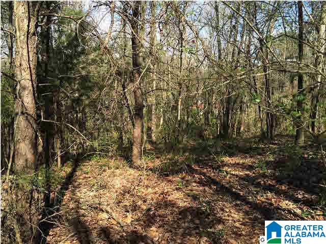 79 Highway 79, Unit 3 9 Cleveland, AL 35049 - Photo 17 of 21