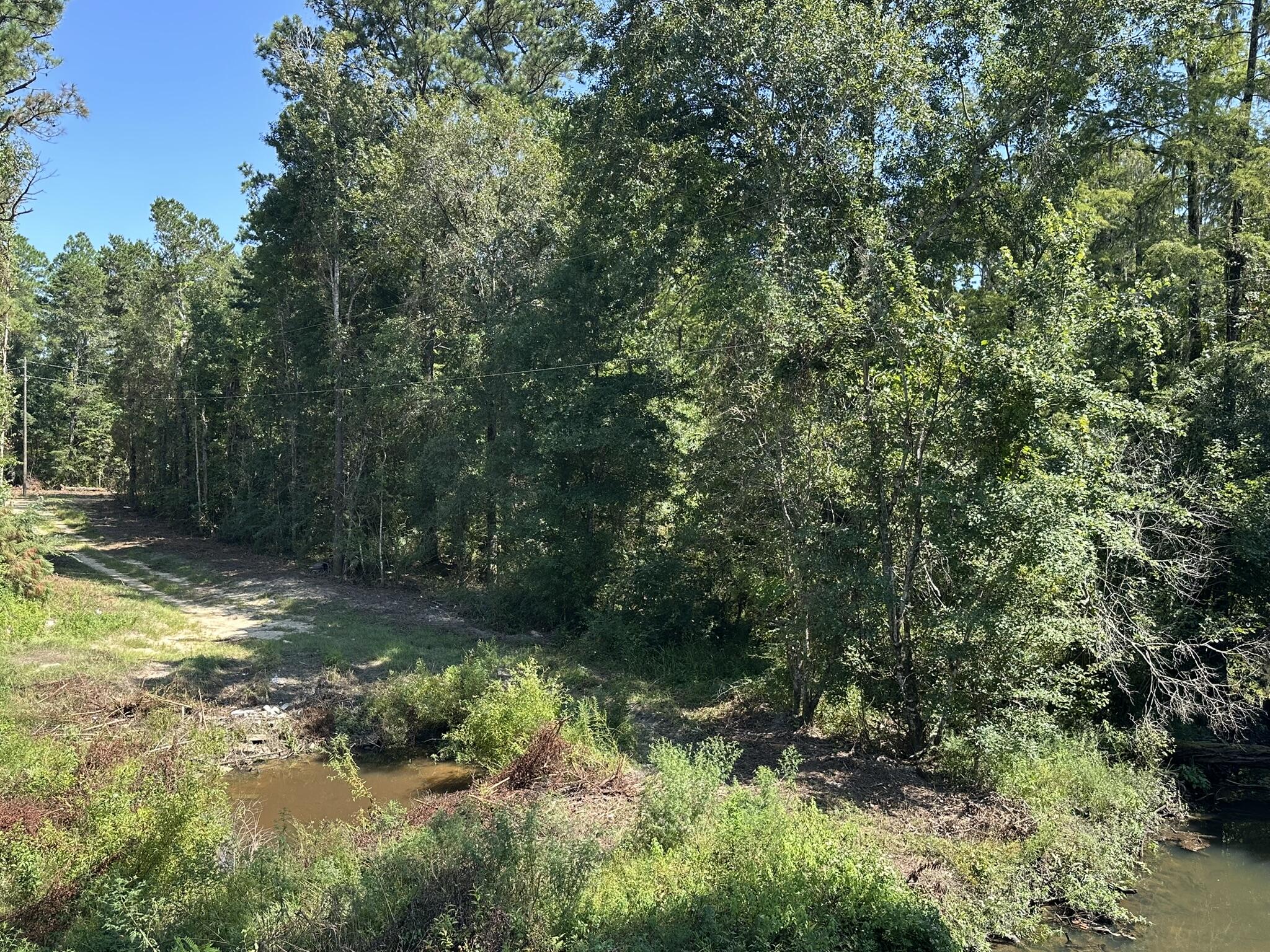 Tract#6326 Tract Road Bonifay, FL 32425 - Photo 11 of 20 a view of a yard with plants and a tree