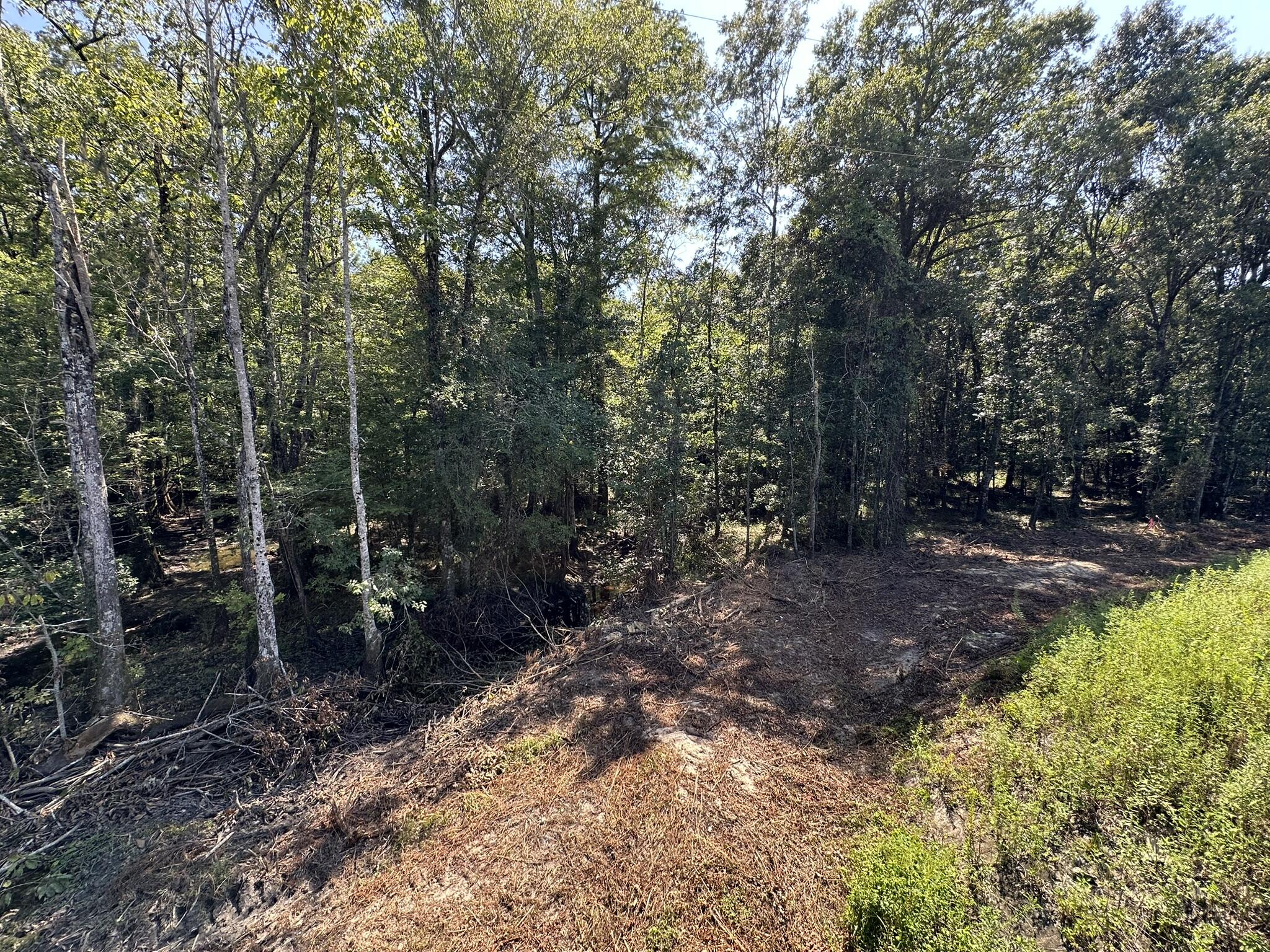 Tract#6326 Tract Road Bonifay, FL 32425 - Photo 12 of 20 a view of backyard with green space