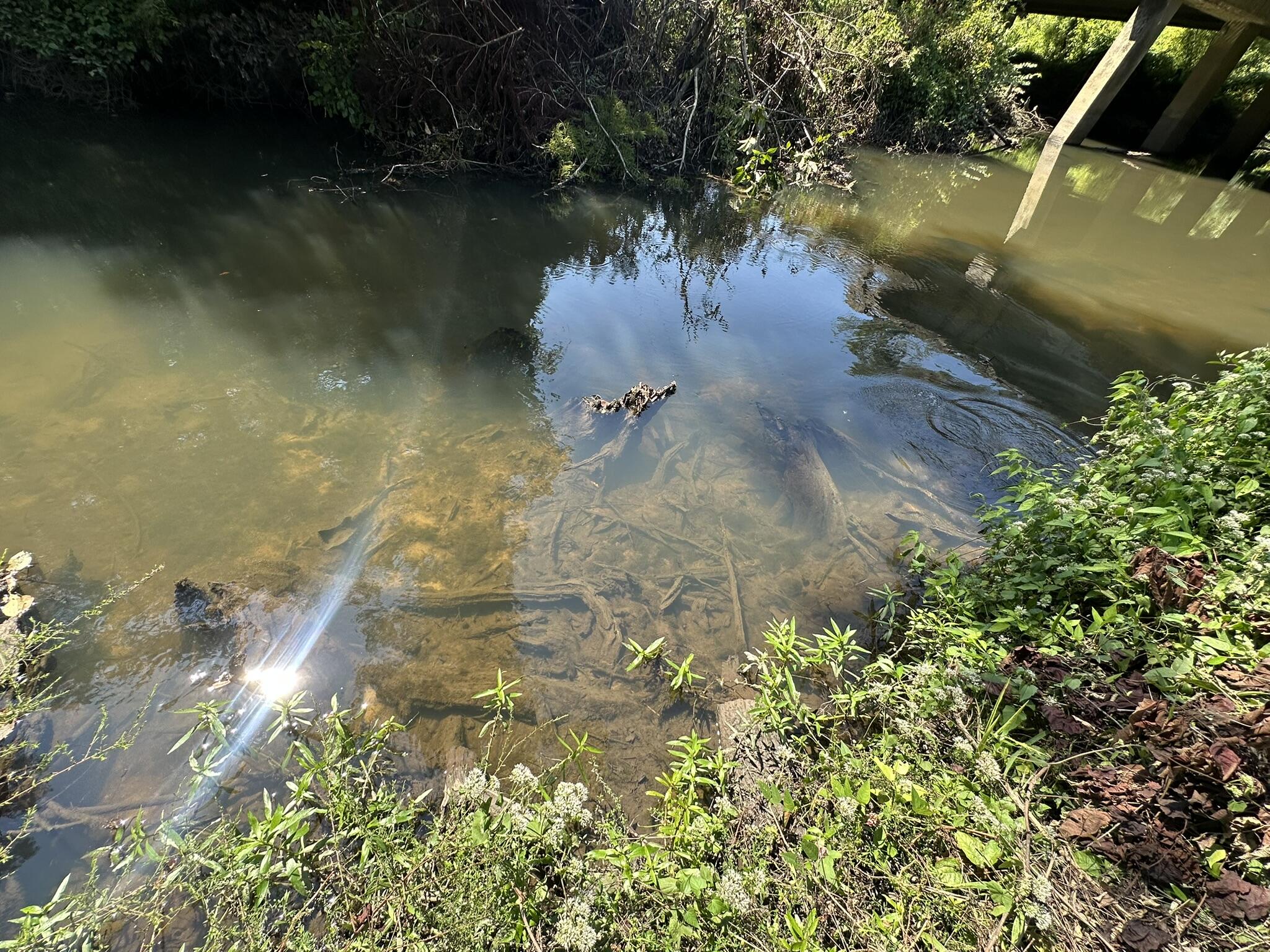 Tract#6326 Tract Road Bonifay, FL 32425 - Photo 19 of 20 an aerial view of a house with a yard and lake view