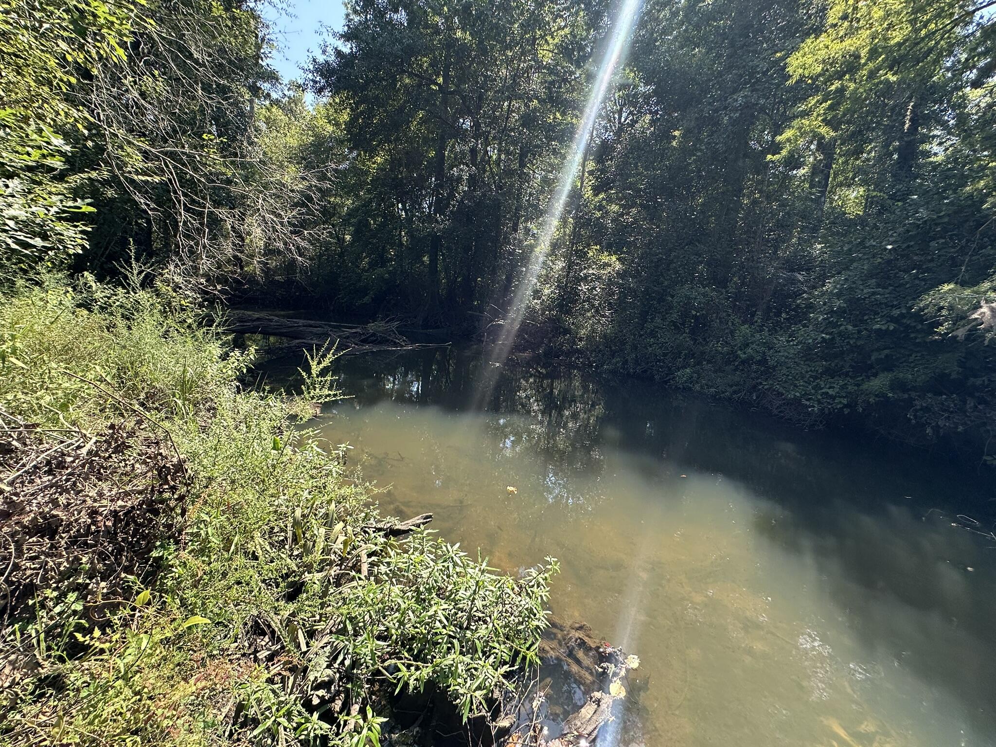 Tract#6326 Tract Road Bonifay, FL 32425 - Photo 20 of 20 a view of lake with green space