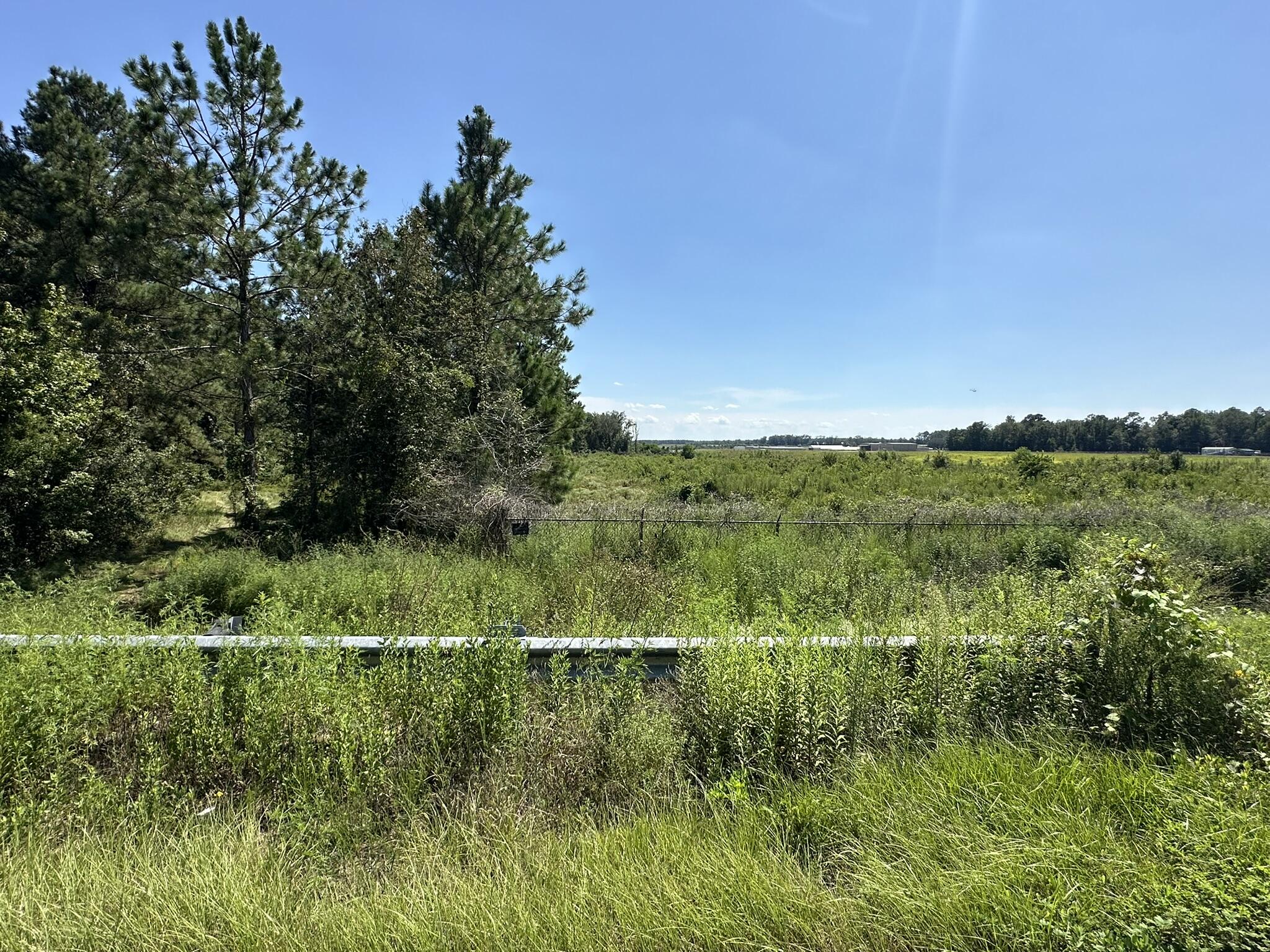 Tract#6326 Tract Road Bonifay, FL 32425 - Photo 5 of 20 a view of a green field with lots of trees