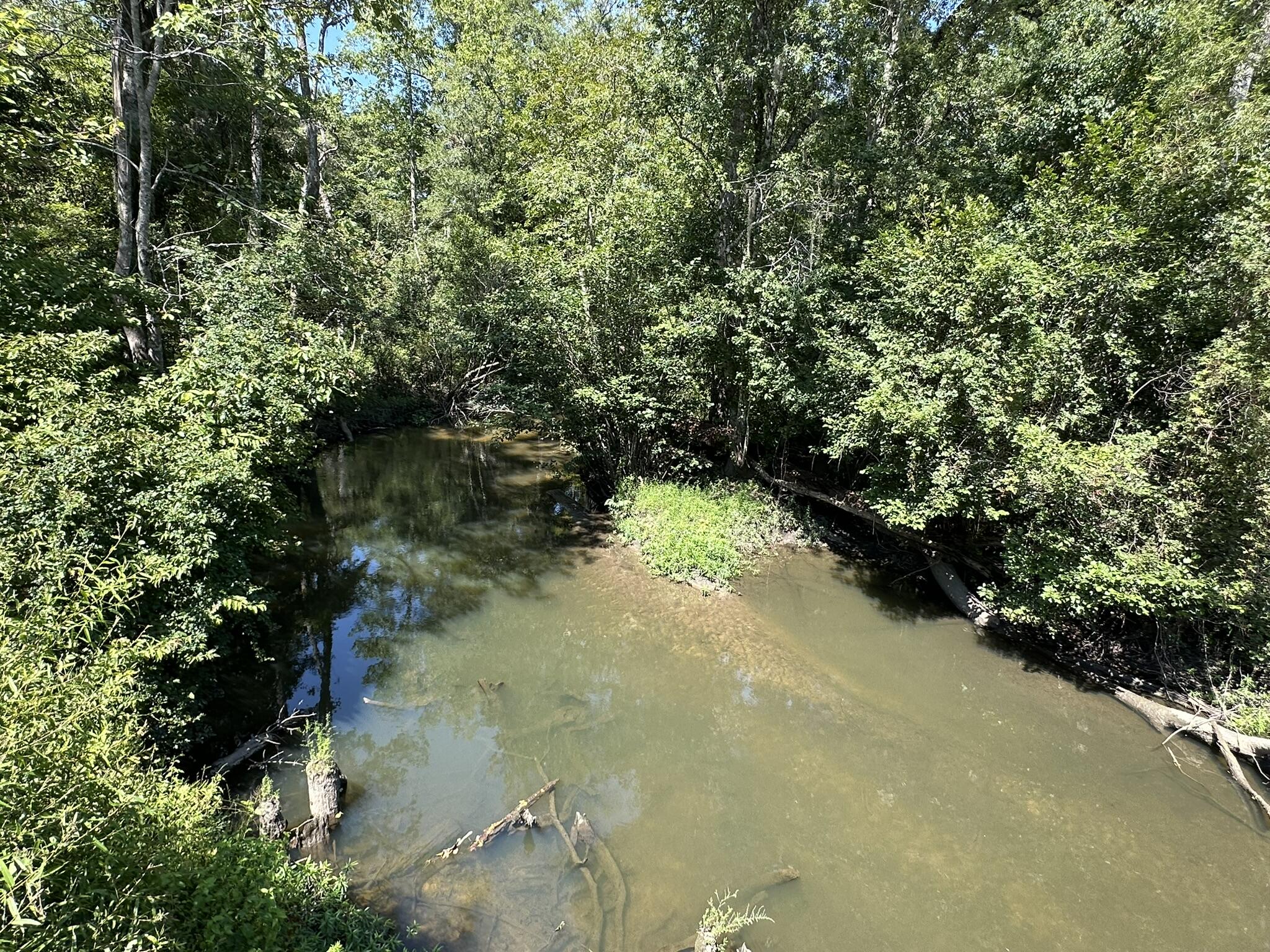 Tract#6326 Tract Road Bonifay, FL 32425 - Photo 8 of 20 a view of a forest with a trees