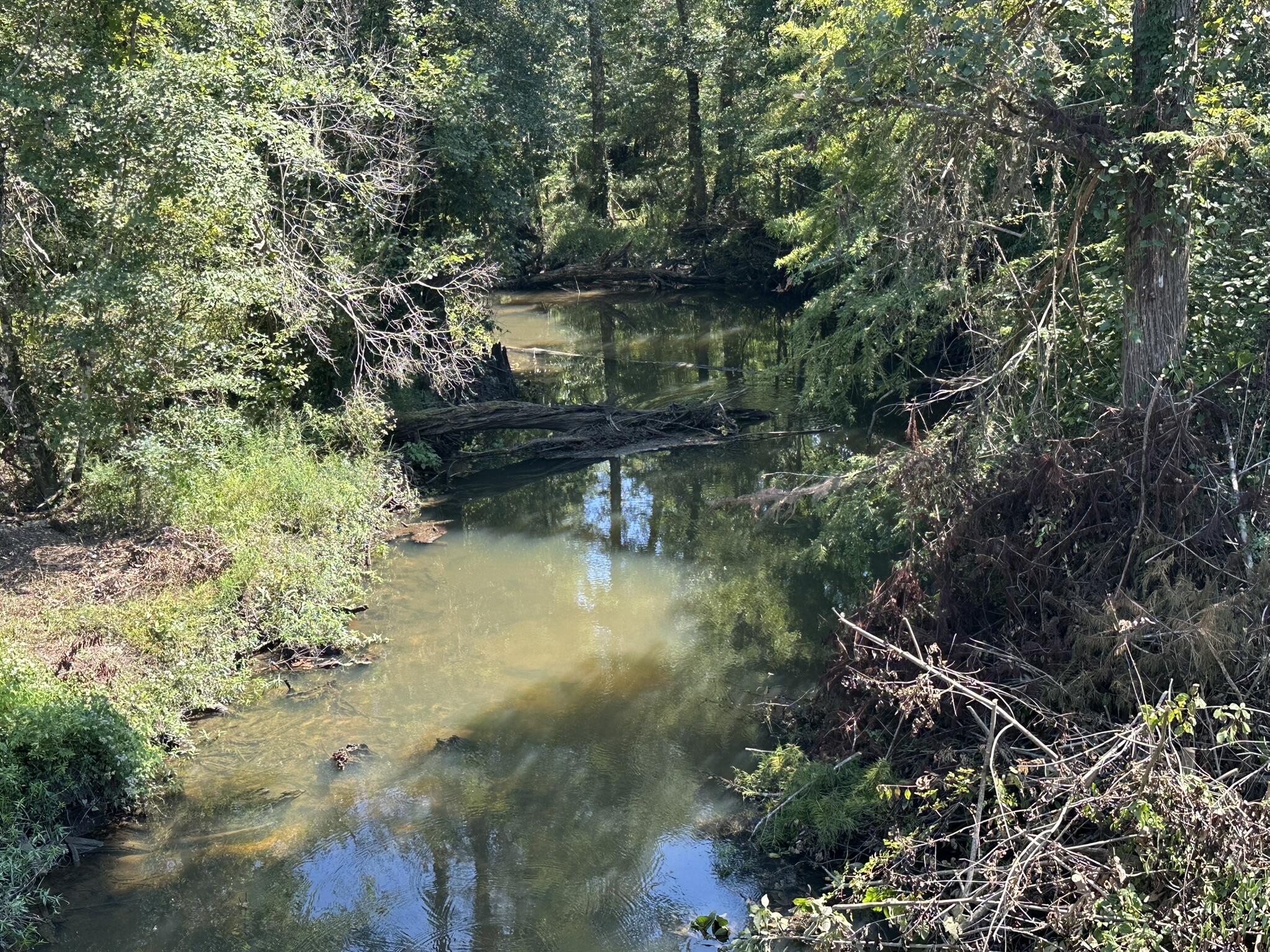 Tract#6326 Tract Road Bonifay, FL 32425 - Photo 10 of 20 a view of lake with green space
