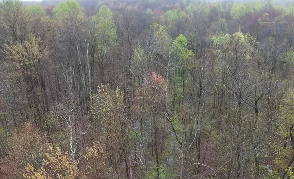 $79,900 | 0 Countyline Road, Jamestown, PA 16134