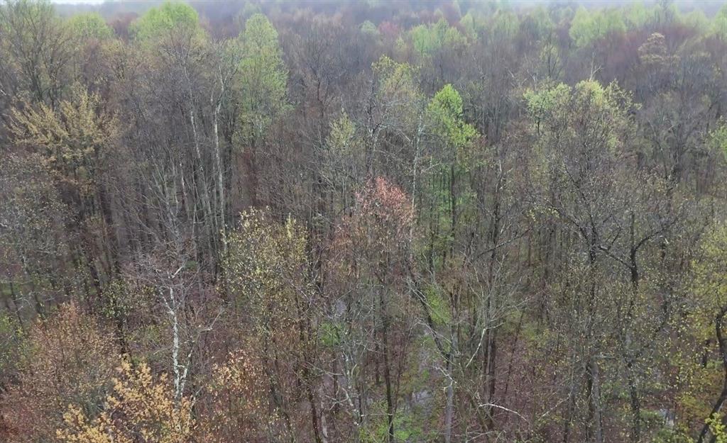 0 Countyline Road Jamestown, PA 16134 - Photo 2 of 2
