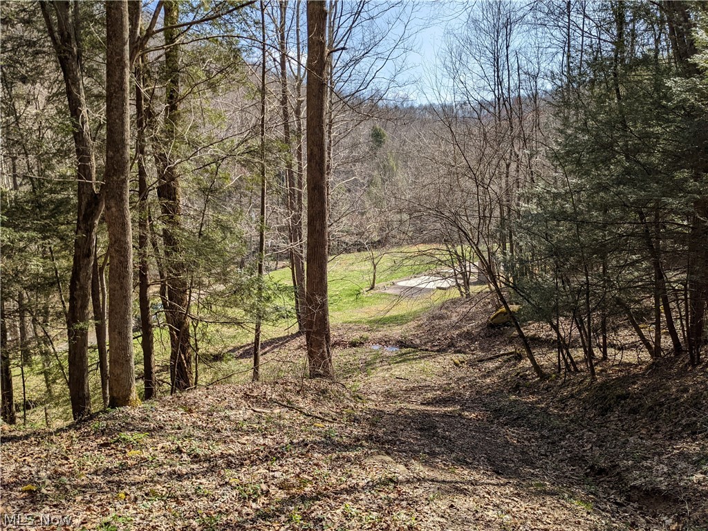 1487 Groves Creek Road Duck, WV 25063 - Photo 17 of 33 Gallery Image 17