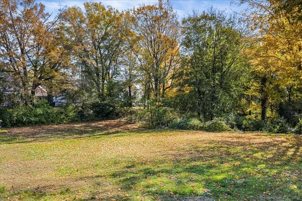 a view of a yard with a trees