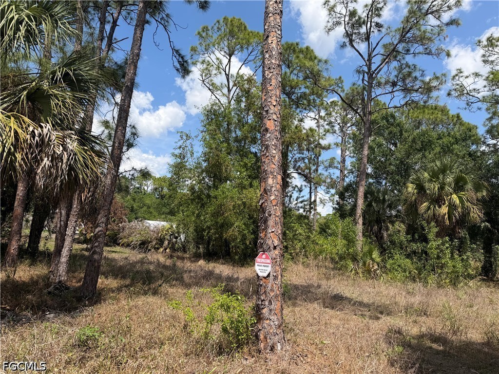 8261 Scarecrow Road North Fort Myers, FL 33917 - Photo 4 of 10