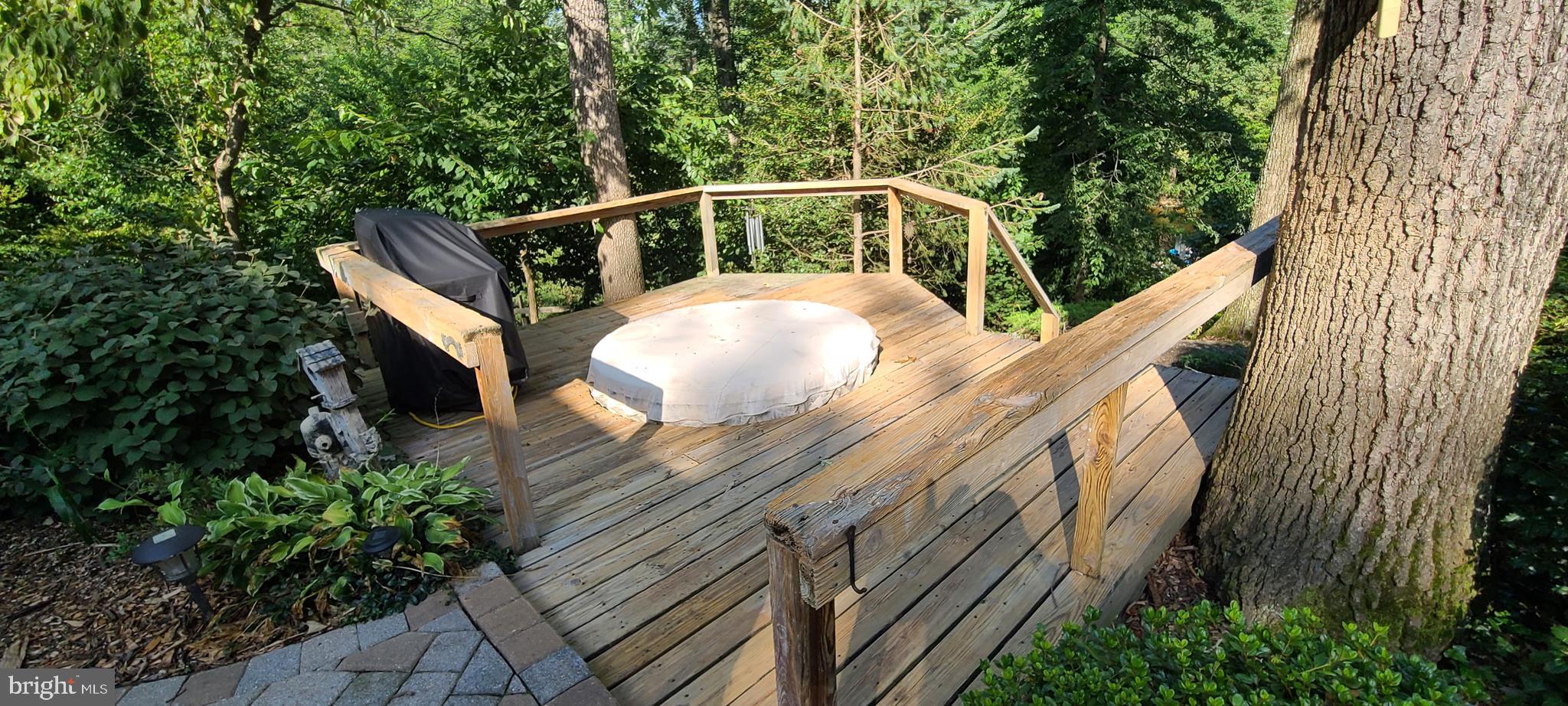 317 Thomas Road Severna Park, MD 21146 - Photo 20 of 56 Hot tub at edge of patio