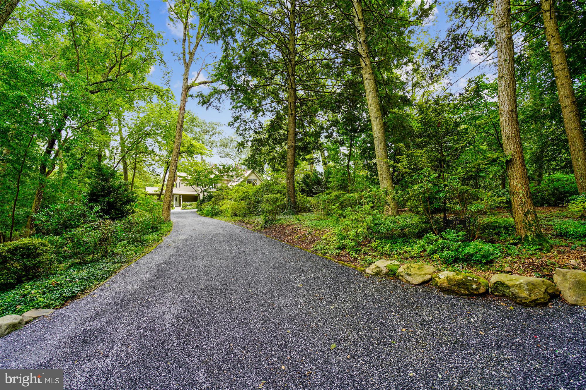 317 Thomas Road Severna Park, MD 21146 - Photo 22 of 56 One leg of 120 Ft circle driveway